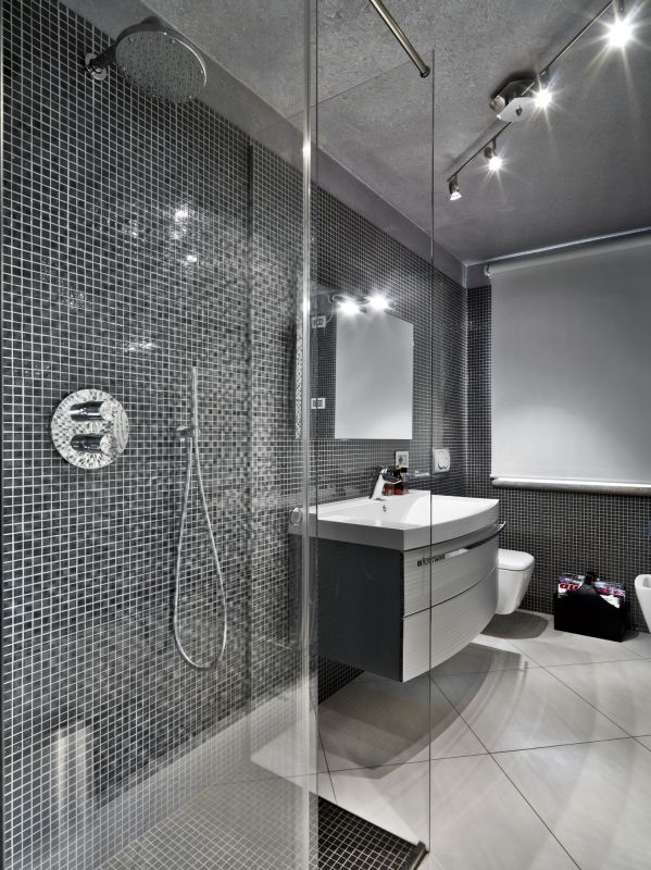 Contemporary Shower Niche